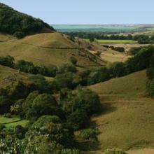 Vallée de ferney